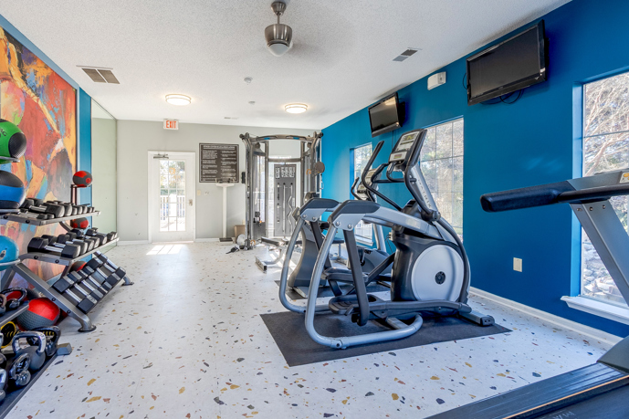 Indoor community fitness center with exercise equipment facing a blue wall with windows and exercise balls and weights along the opposite wall  at Cherry Grove Commons apartments in North Myrtle Beach, SC